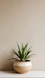 Similar image 22447544