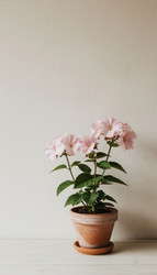 Similar image 22447548