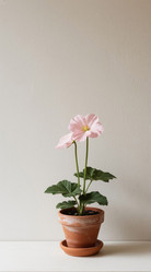 Similar image 22447549