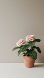 Similar image 22447550