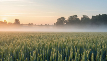 Similar image 22447560