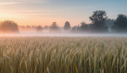 Similar image 22447562