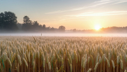 Similar image 22447564