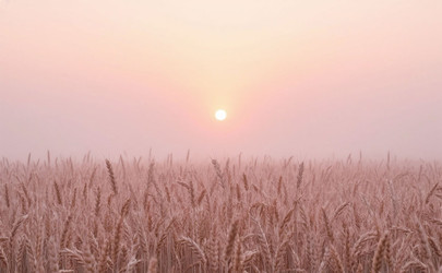 Similar image 22447566