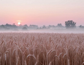 Similar image 22447568