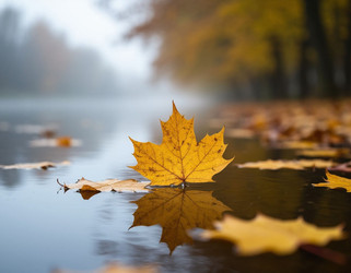 Similar image 22447644