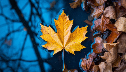 Similar image 22447648