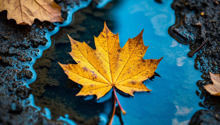 Similar image 22447650