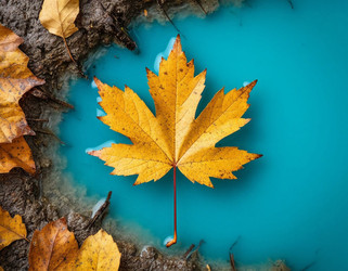 Similar image 22447652