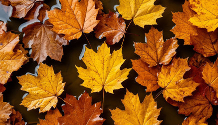 Similar image 22447654