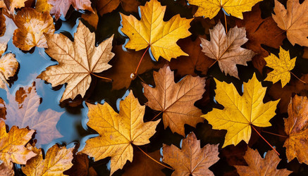 Similar image 22447658