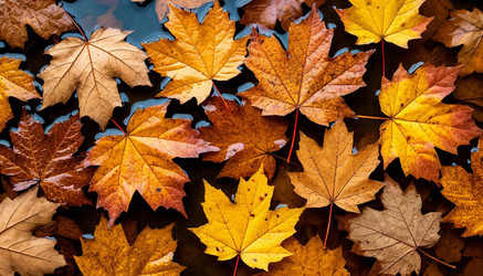 Similar image 22447660