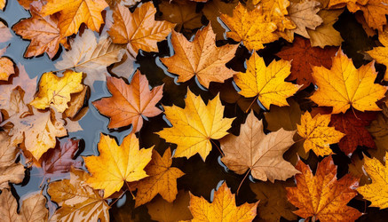 Similar image 22447662