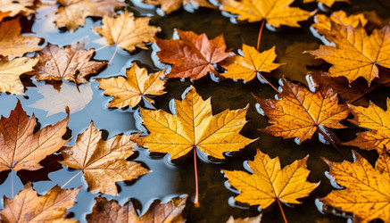 Similar image 22447664