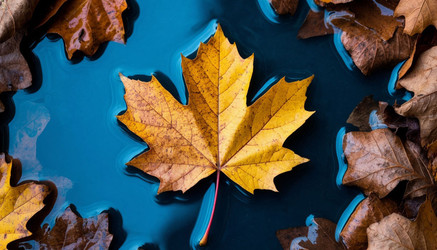 Similar image 22447667