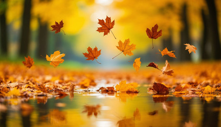 Similar image 22447671