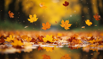 Similar image 22447673