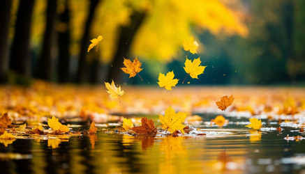 Similar image 22447677