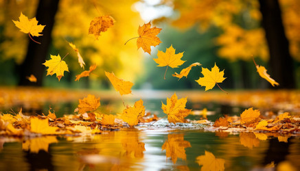 Similar image 22447681