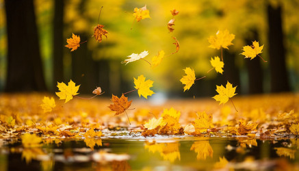 Similar image 22447683