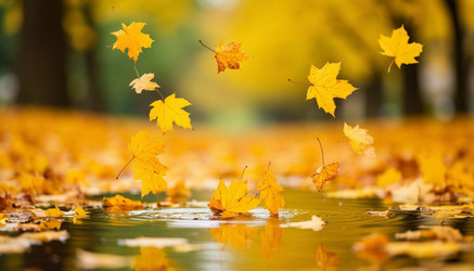 Similar image 22447685