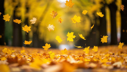 Similar image 22447686