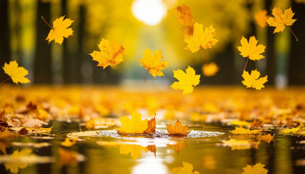 Similar image 22447687