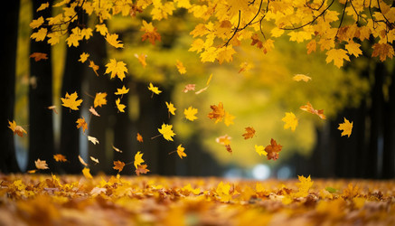 Similar image 22447689