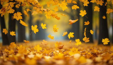 Similar image 22447692