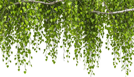 Similar image 22447693