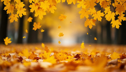 Similar image 22447694