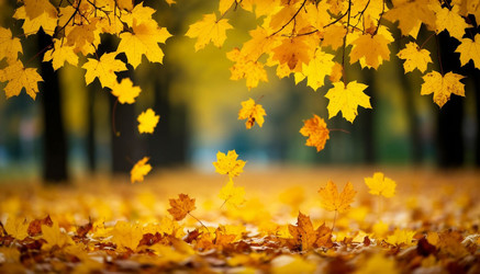 Similar image 22447695