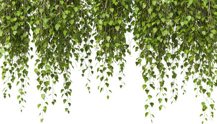 Similar image 22447701