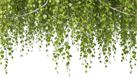 Similar image 22447705