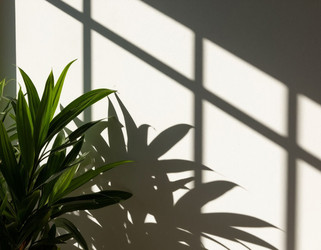 Similar image 22447707