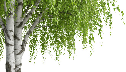 Similar image 22447709