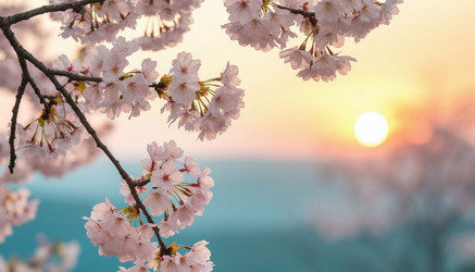 Similar image 22447735