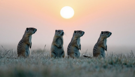 Similar image 22447760