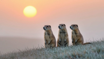 Similar image 22447762