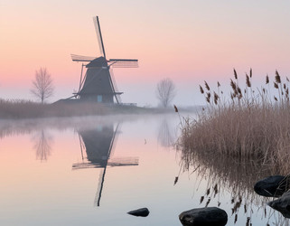 Similar image 22447794