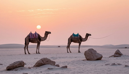 Similar image 22412388