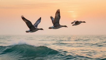 Similar image 22447867