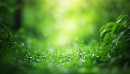 Similar image 22447997