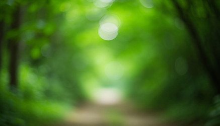 Similar image 22447998