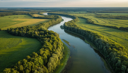 Similar image 22448019