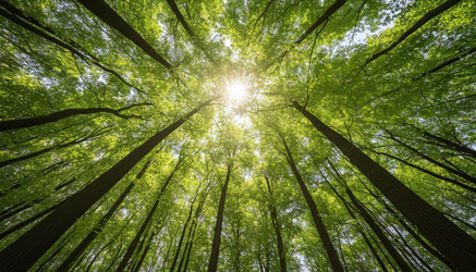 Similar image 22448023