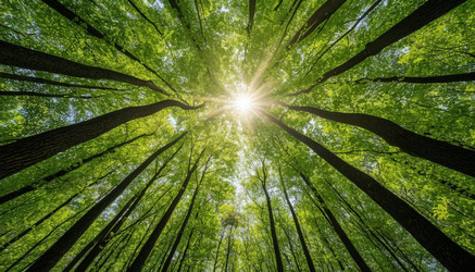 Similar image 22448025