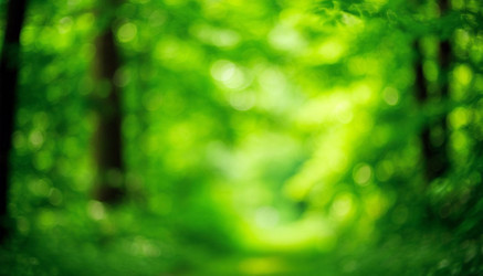 Similar image 22448026