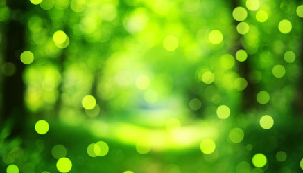 Similar image 22448028