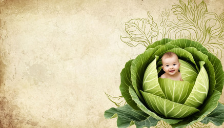 Similar image 22448134